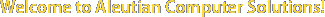 Welcome to Aleutian Computer Solutions!